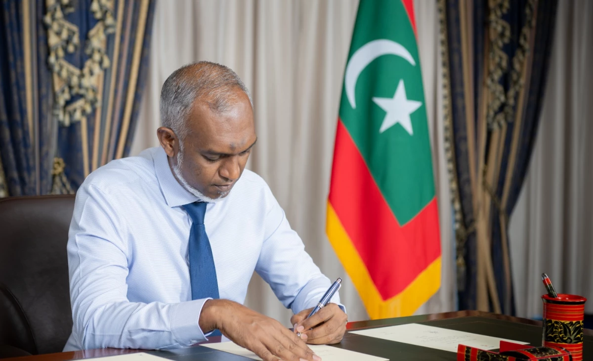 President establishes Maldives Digital Service, dissolves NCIT