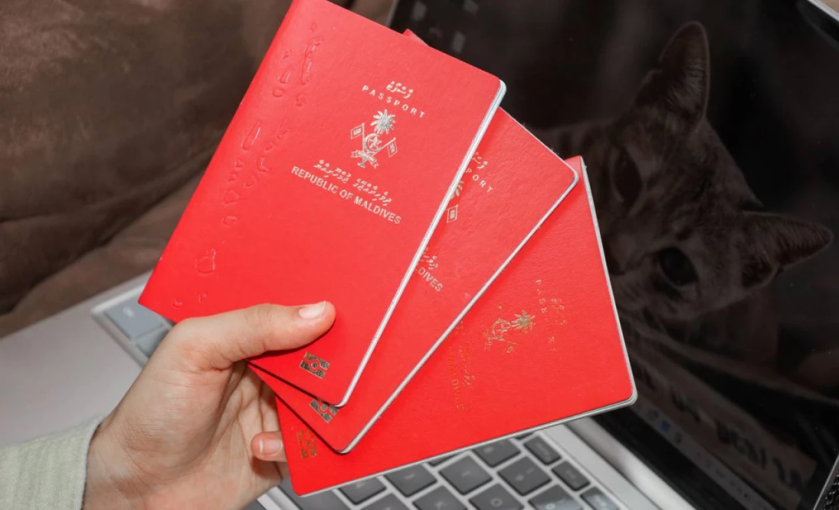 Maldives rises in Henley Passport Index, retains strongest passport in South Asia