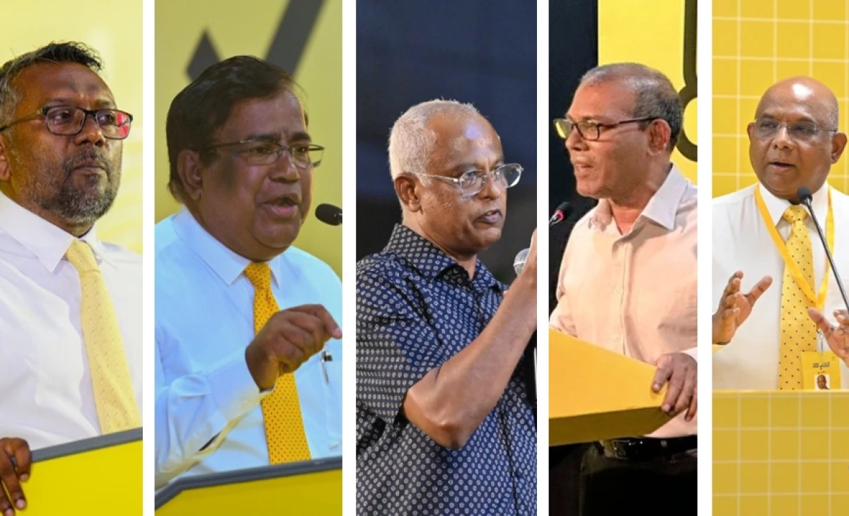 MDP to form five-member committee to oversee party affairs