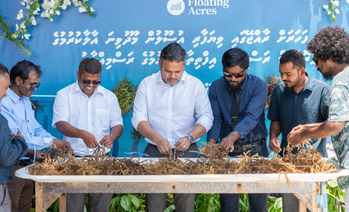 Maldives pushes to build mariculture into major industry