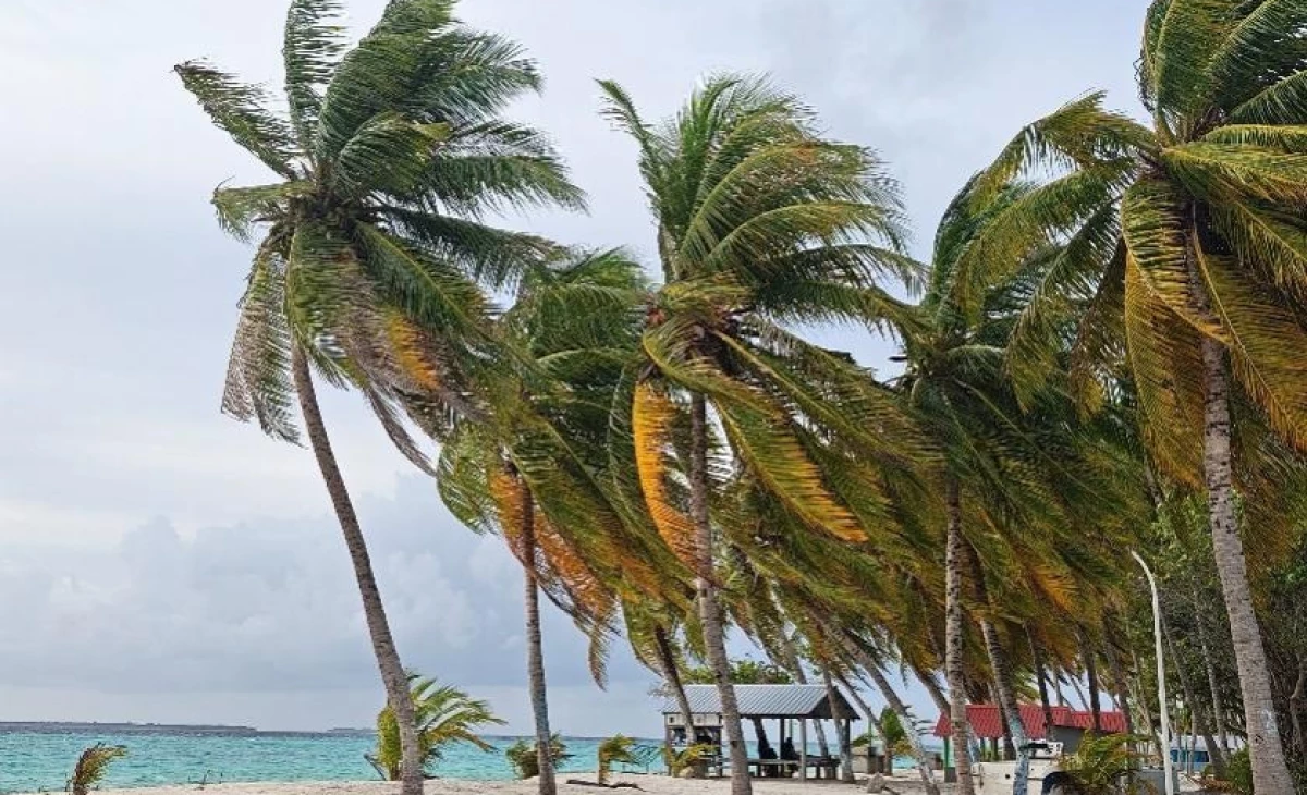 Sea Breeze Through the Coconut Palms from Hainan to Hanimaadhoo — My Maldivian Diary on the Day and Night in Hanimaadhoo